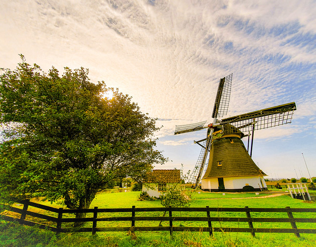 Rijswijk windmill's