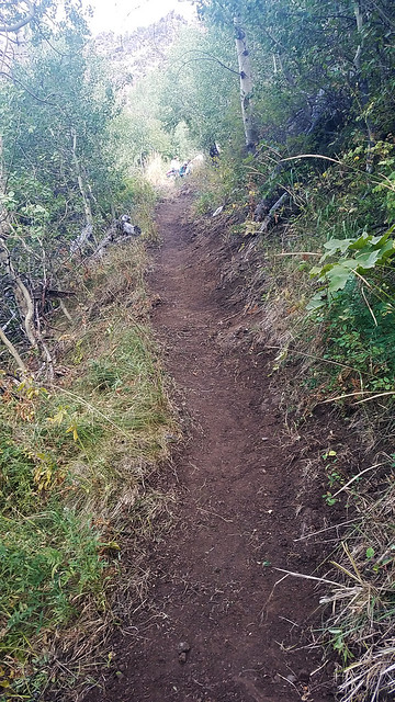 Nye Trail Work