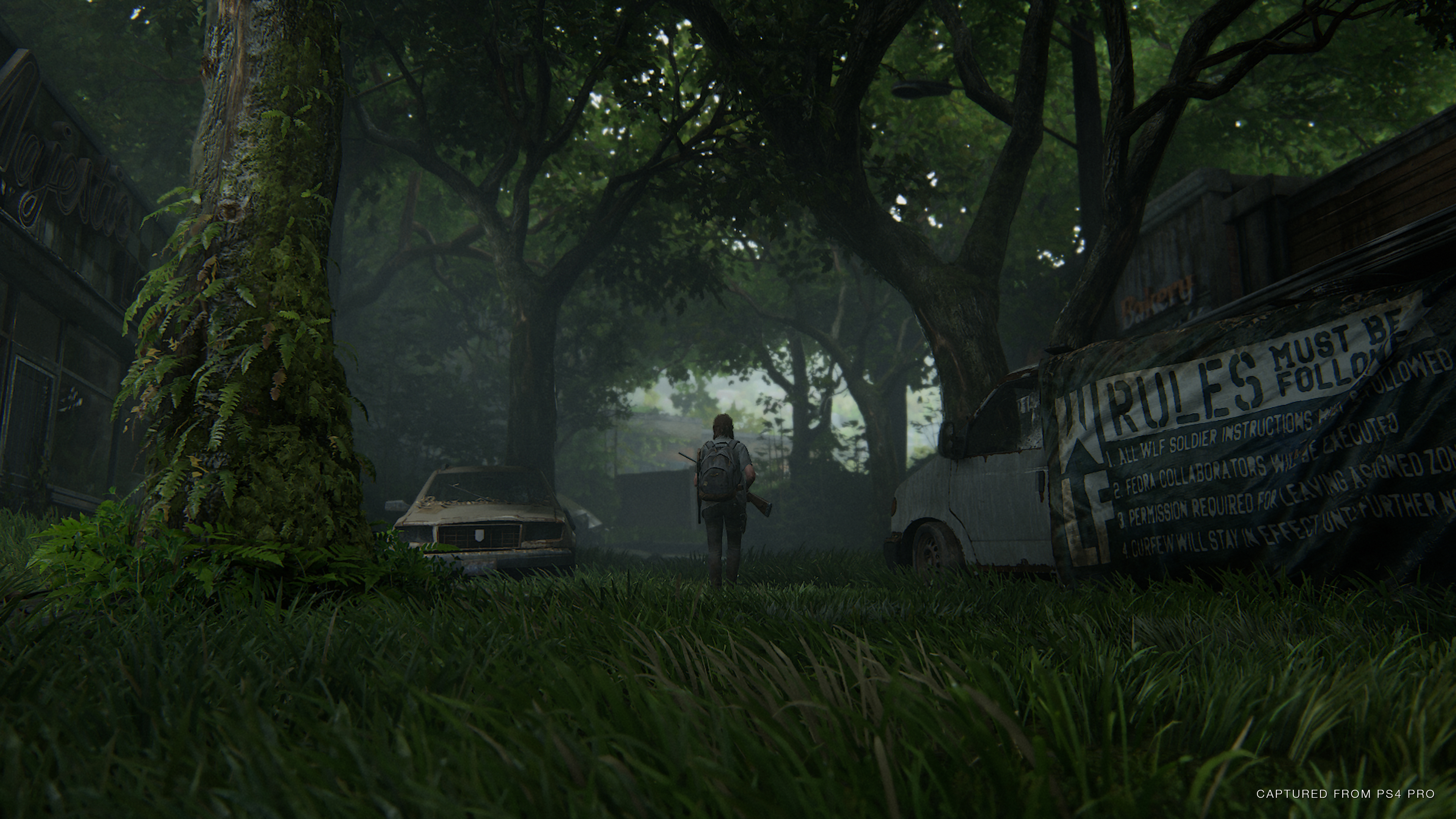 48797462788 1e29470230 o - Neue Details zum Gameplay von The Last of Us Part II enthüllt