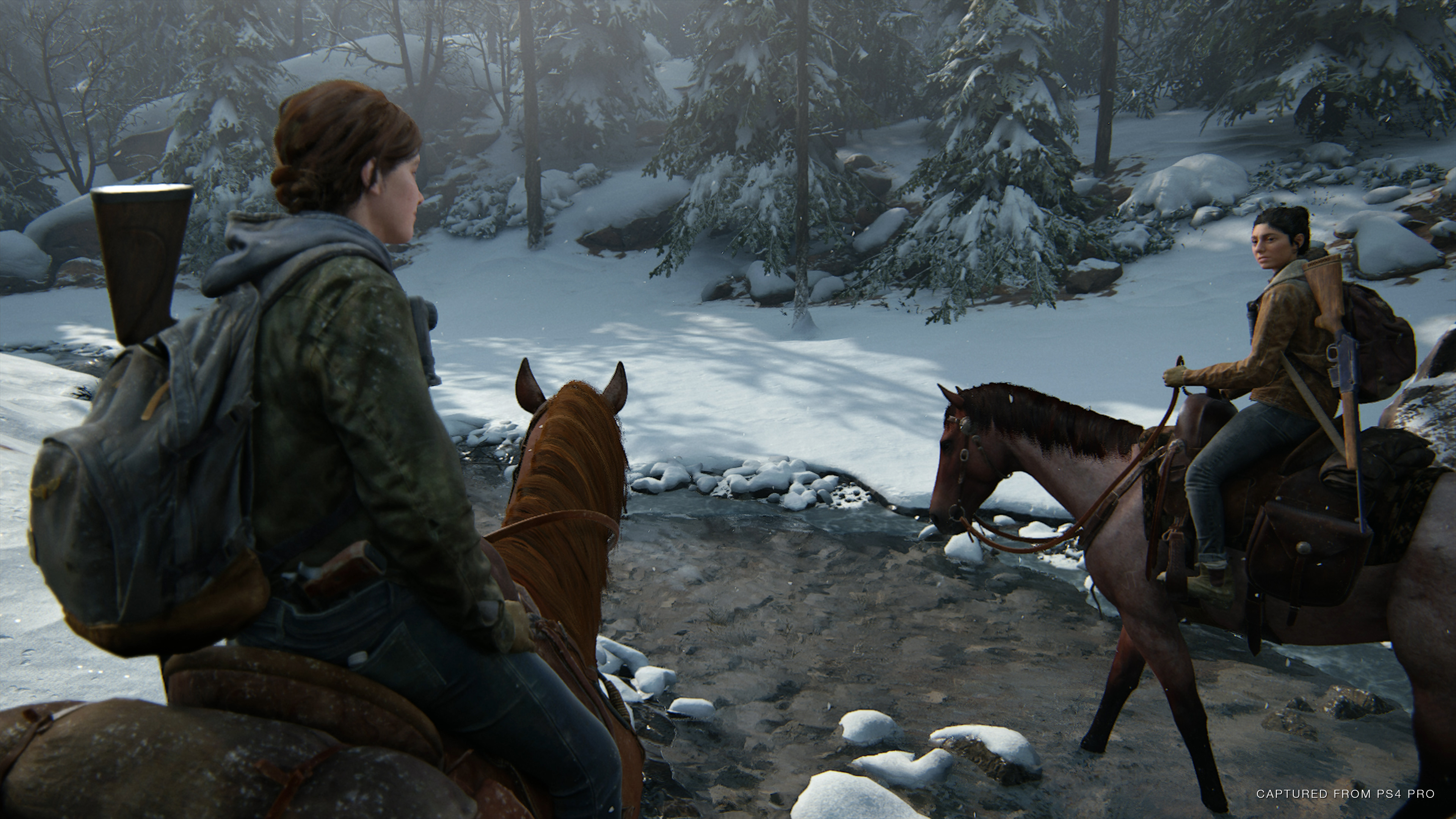 48797945602 d38824454b o - Neue Details zum Gameplay von The Last of Us Part II enthüllt
