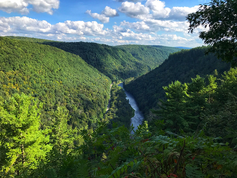 Pine Creek Gorge from Colton Point State Park
