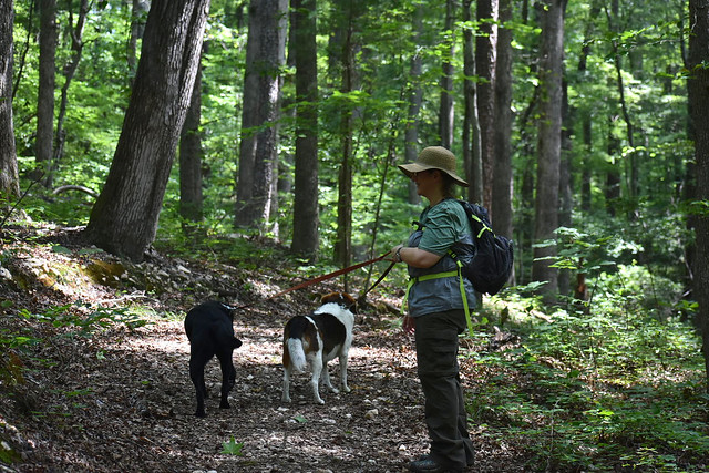 Dogs dig Virginia State Parks and they love us, but of course there are a few rules