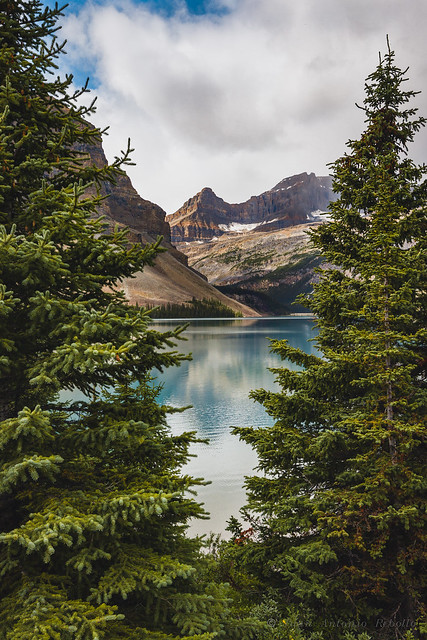 Bow Lake (Canada)
