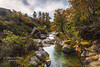 Autumn in the enchanted forest of Alvão Natural Park. Vila Real by silvinodasilvaphotography