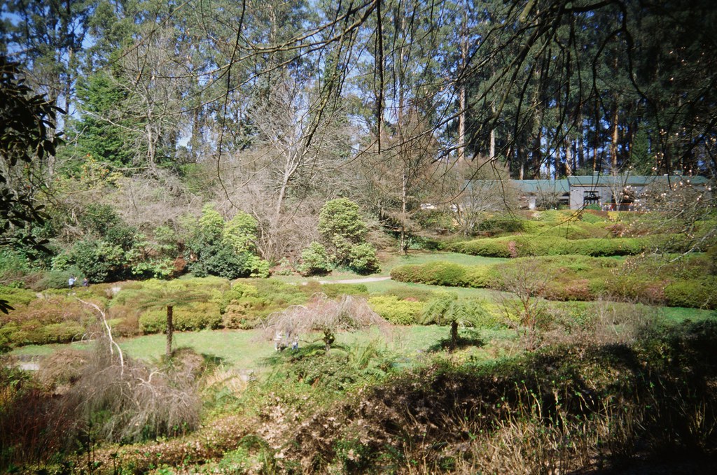 National Rhododendron Gardens Photo 3 Camera Used Kodak Flickr