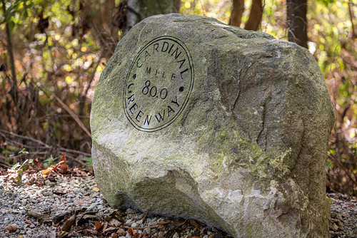 waynecounty indiana rural cardinalgreenway rock marker mileage
