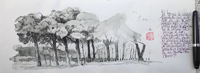 Una caña y un dibujito en el bosque de Valorio después de un lago paseo hasta el puente Croix. Estilográfica Ahab Noodler's y acuarela japonesa blackgreen sobre papel nisu.