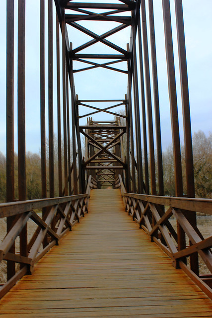🇭🇺 Wooden bridge / Дървен мост
