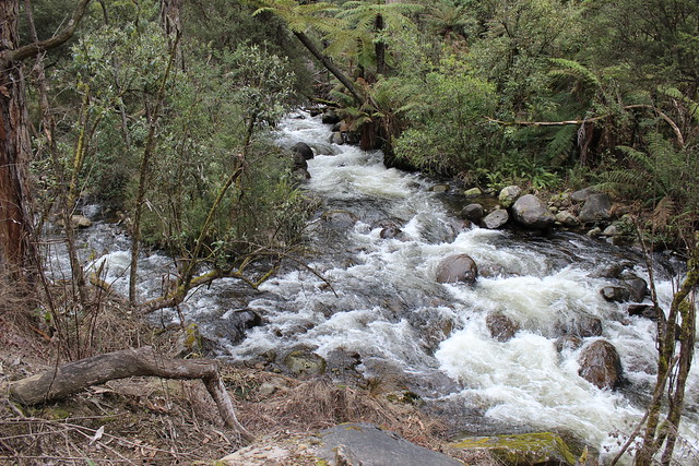 Rubicon River rapids