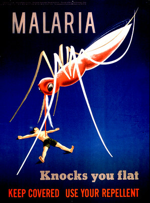 Malaria knocks you flat: keep covered, use your repellent