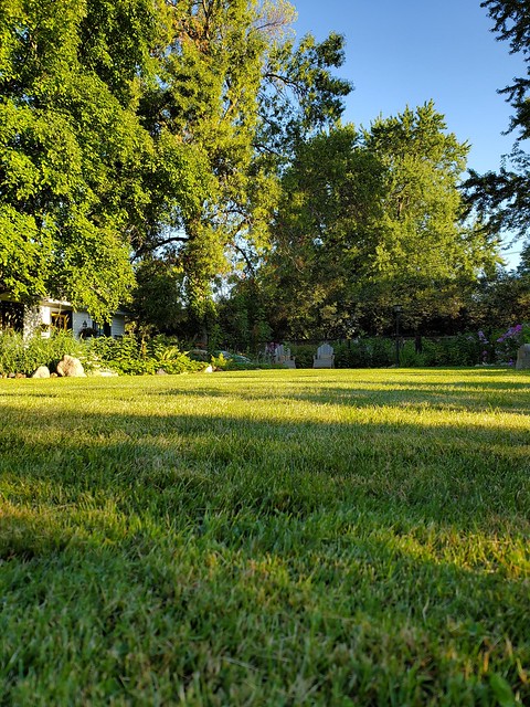 the long lawn