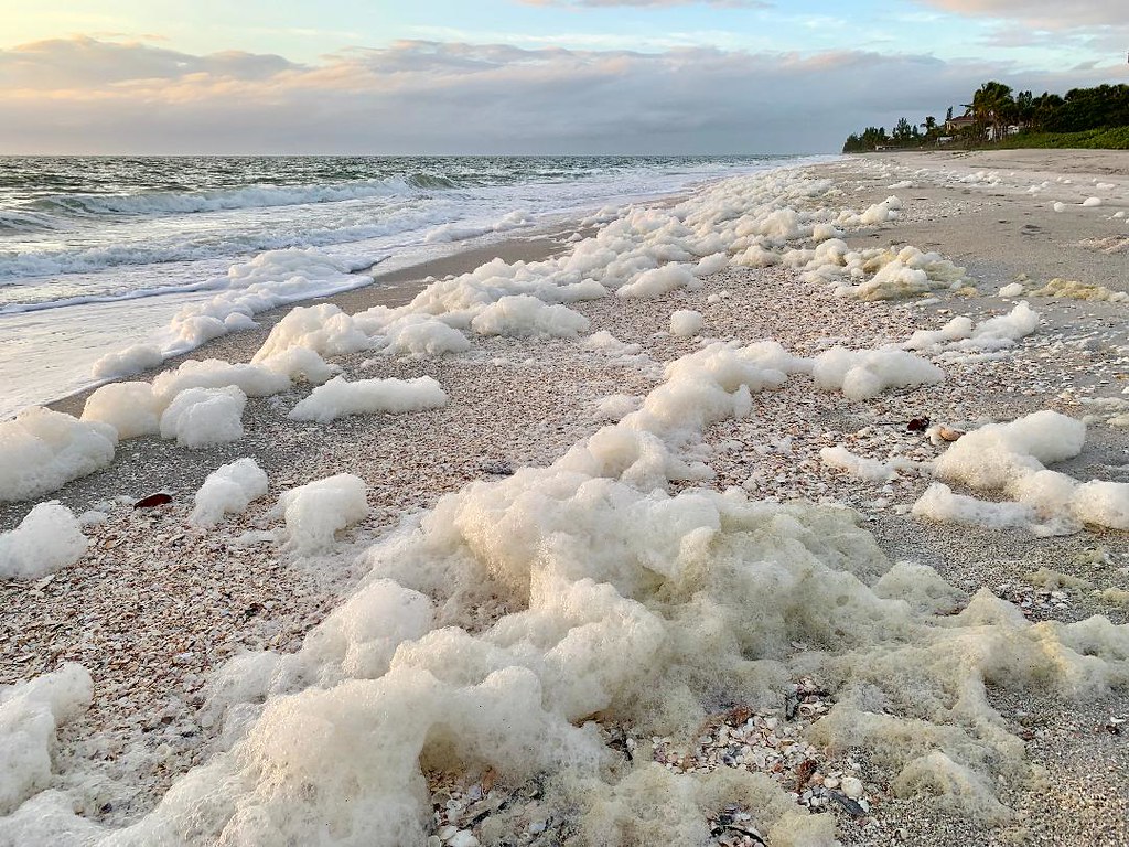 Beach Sea Foam