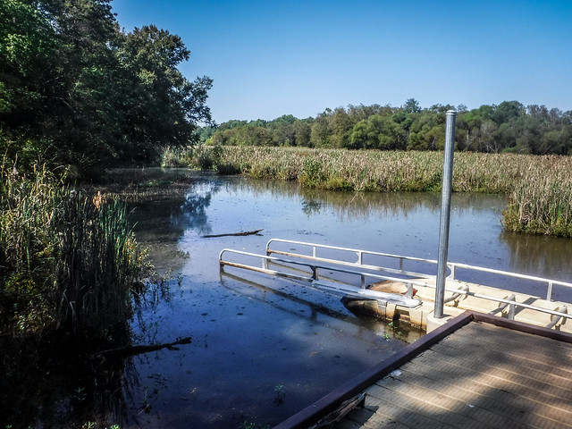 Berry Shoals Pond-2