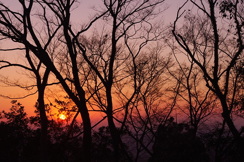 New Year Sunrise, Tokyo, Japan by runslikethewind83, Sunrise captured on New Year's morning at Mt. Takao, east Tokyo.sunrise sun trees nature japan tokyo