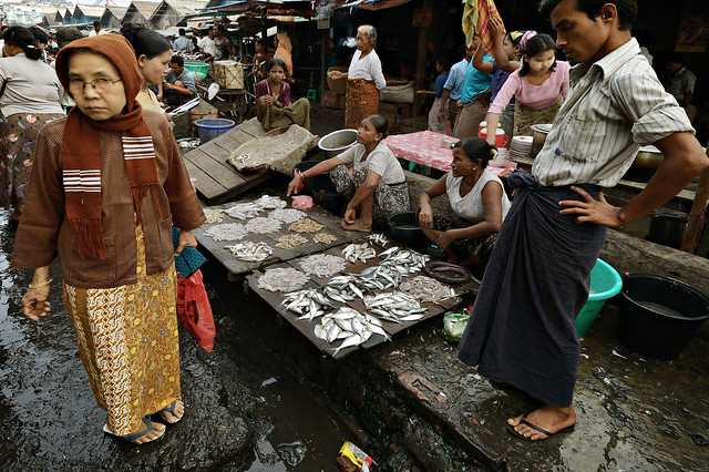 Fish choices at the Sittwe market - Rakhine State - Myanmar