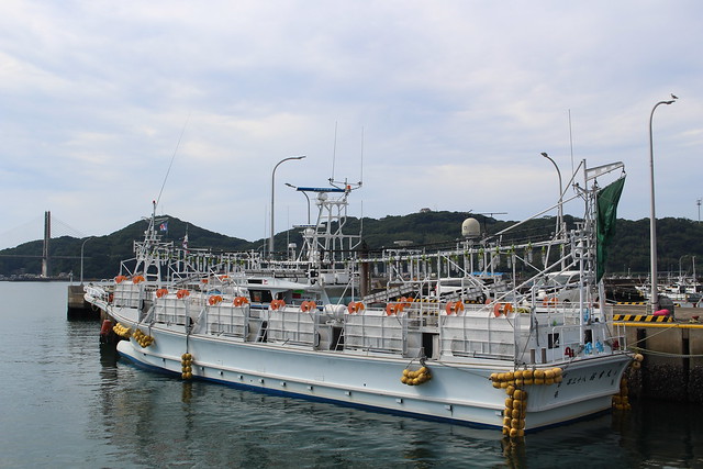 IMG_6214 Yobuko squid boat