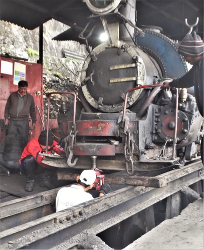 in-06 bn-20 darjeeling-toy train-retour (34)