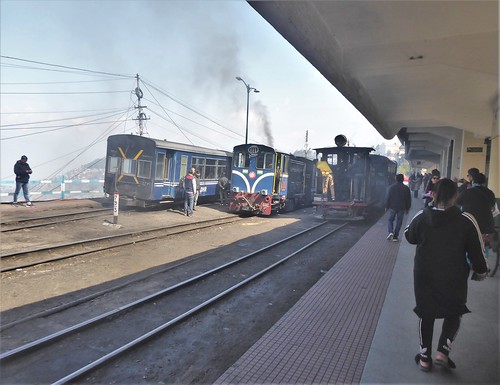 in-06 bn-20 darjeeling-toy train-aller (3)