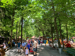 Photo 10 of 25 in the Day 10 - Knoebels gallery