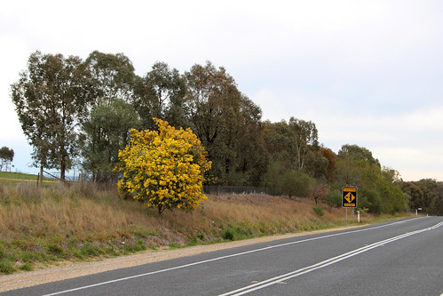 australia new south wales temora canberra road barton burley griffin highway landscape view fields