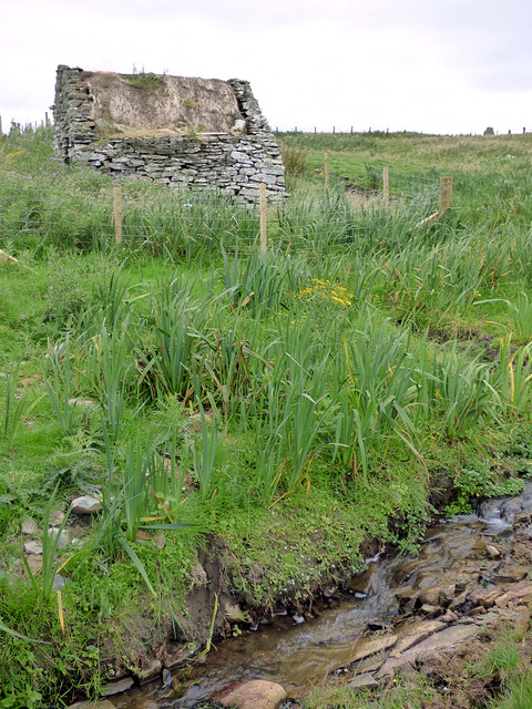 Dunrossness - Croft House Museum, Viking water mill