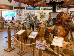 Photo 12 of 25 in the Day 10 - Knoebels gallery