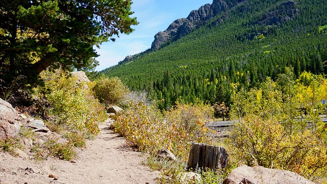 Lily Ridge Trail
