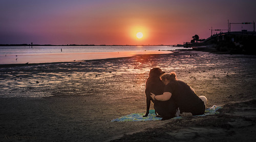 landscape dog pet bonding affection love beauty sharing sunset nature beach together togetherness