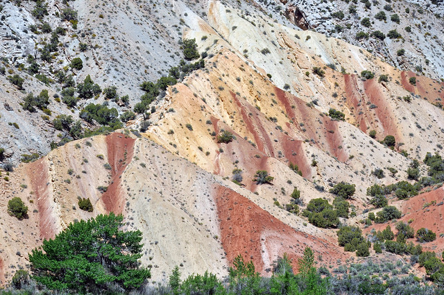 Park City Formation (Permian; Split Mountain, Dinosaur National Monument, Utah, USA) 3