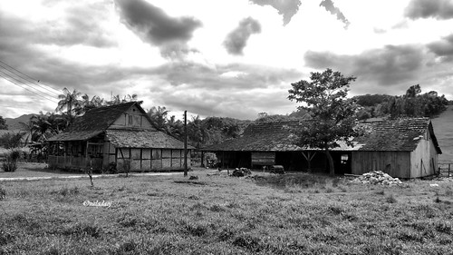 valadaoj brasil sc pomerode paisagem landscape rural ruralscape blackwhite monochrome pretoebranco monocromatico