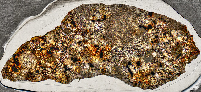 Knyahinya Meteorite Thin Section - HDR