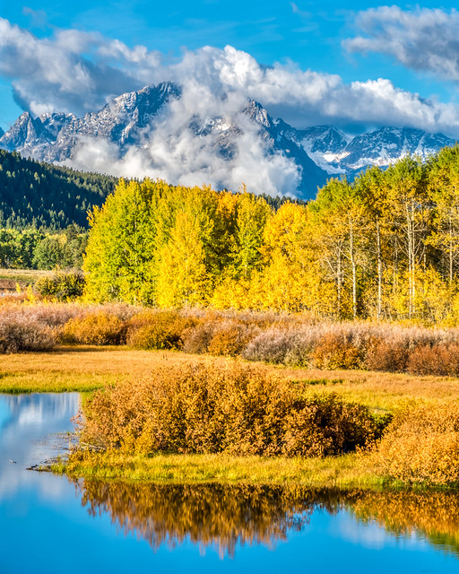 fall color at Oxbow Bend