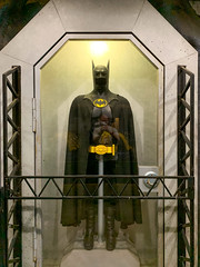 Photo 5 of 8 in the Batman: The Ride gallery