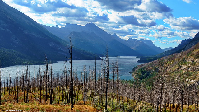 After the fire - Upper Waterton Lake viewed from the Bertha Falls trail - Waterton Lakes National Park, Alberta - 4 September 2019 [© WCK-JST]