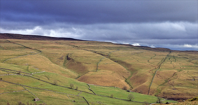 lines on the landscape
