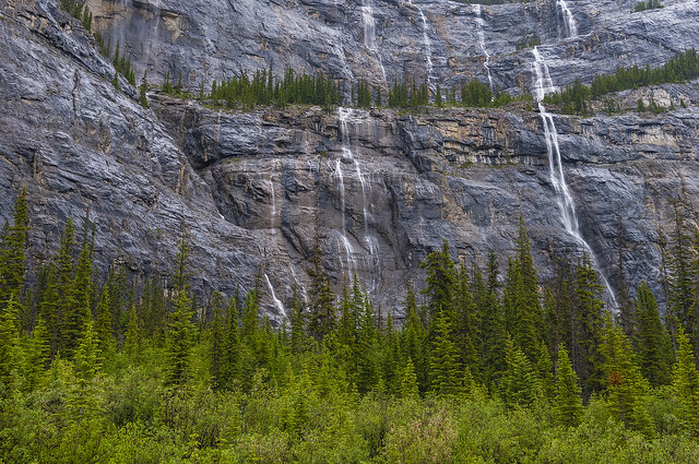 Weeping Wall - Banff National Park, Alberta, Canada