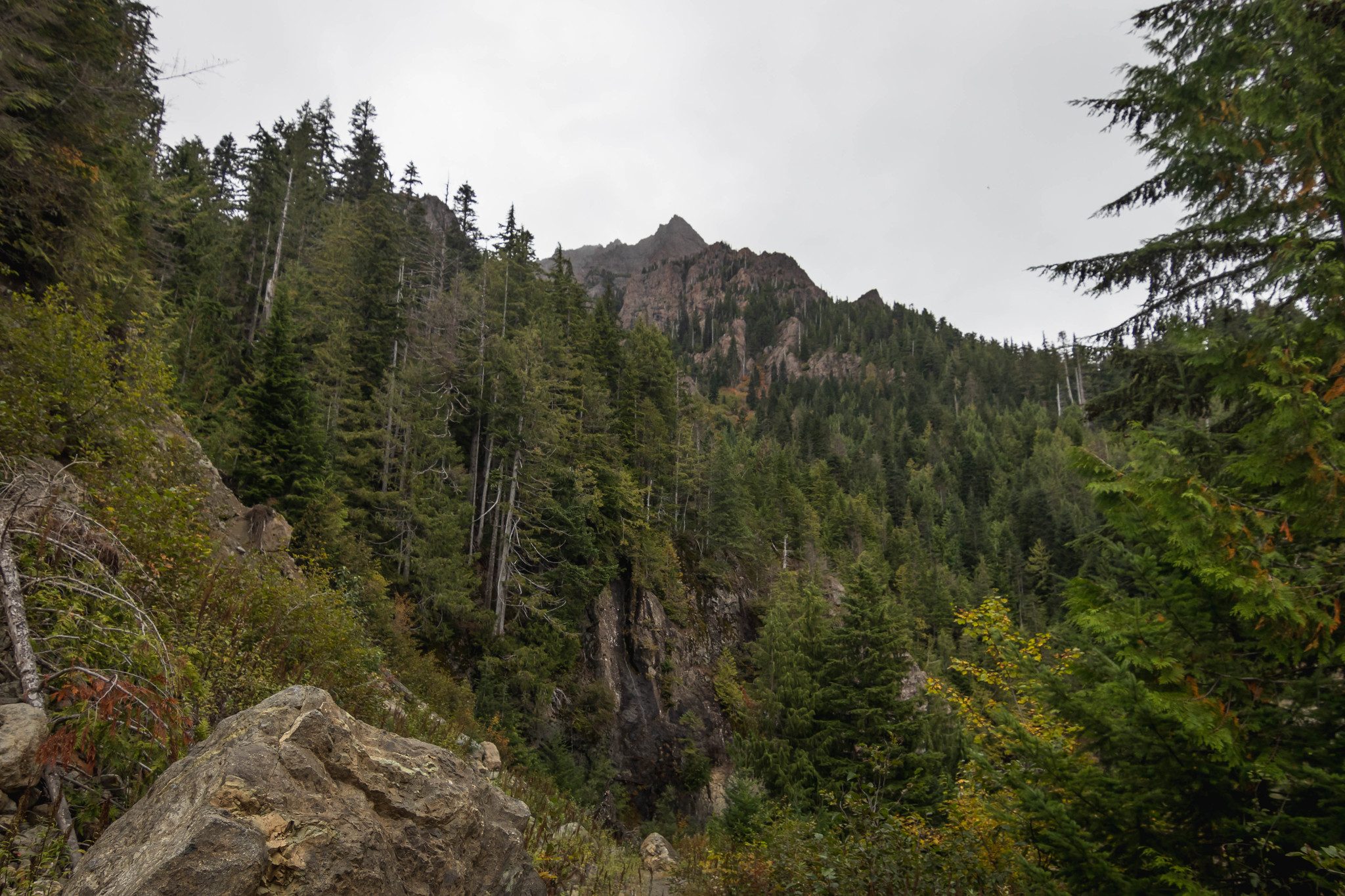 Mount Washington from the trailhead