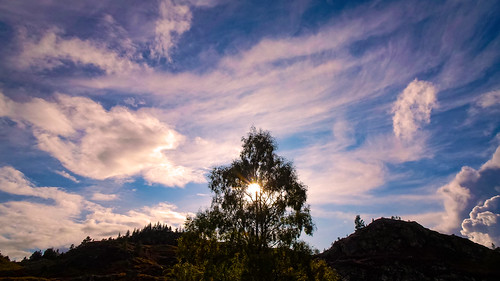 flare sun sunset warm tree birch sky clouds hills mountains peaks hillside mountainside invernesshire highlands scotland ambience heather bracken nature light backlight walk climb autumn