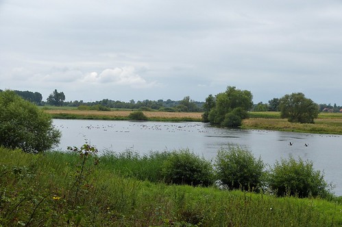 1490430 panasonicdmcfz150 maas meuse reuver swalmen limburg nederland netherlands holland landschap landscape landschaft paysage