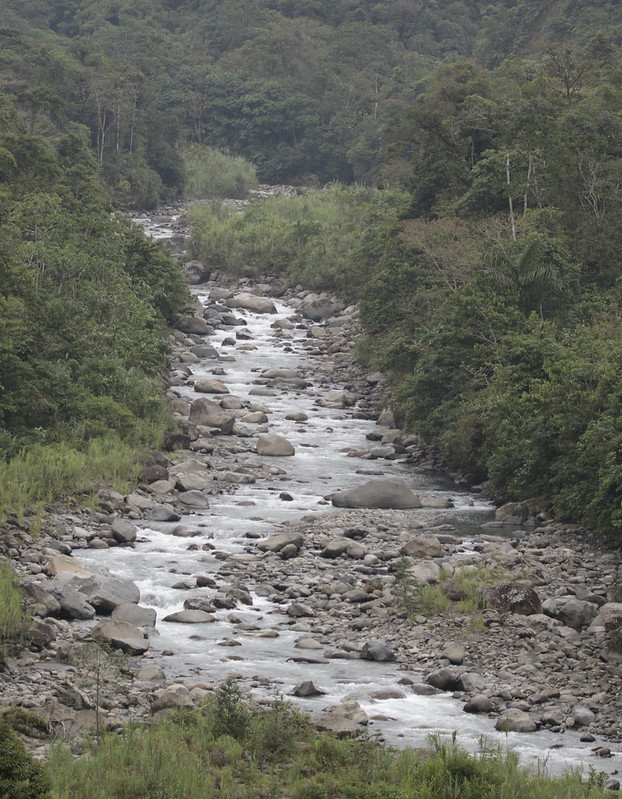 Cloud forest and river_Manu_Ascanio_199A0840
