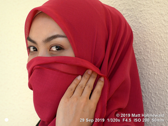 2013-08a Attractive Hijabs 2019 (01b) Nurul