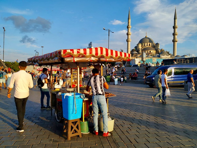 TURQUÍA. VÍCTIMAS DEL "POSTUREO" - Blogs de Turquia - ESTAMBUL. LA CIUDAD DE LOS TRES NOMBRES (3)
