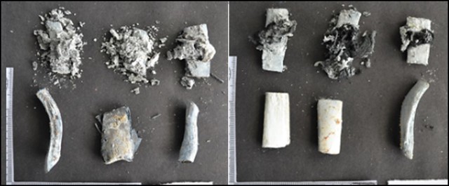 White and fragmented animal bone on the left and similar colour fragments on the right, but with a less fractured appearance due to fusion