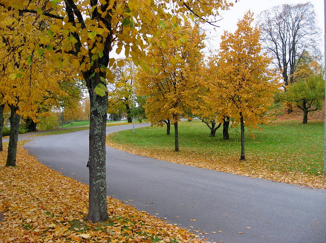 October Park