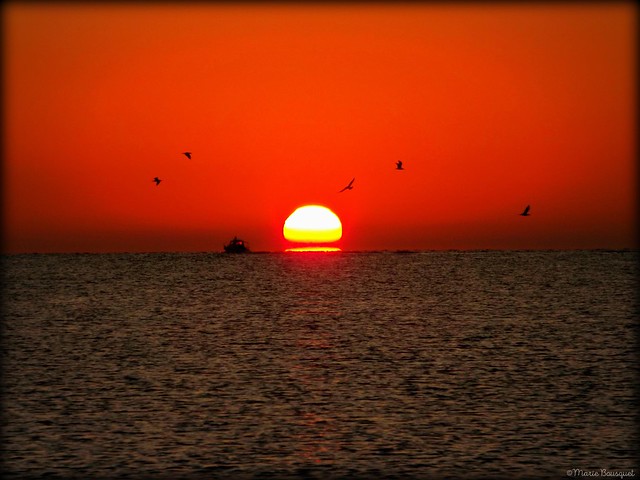 Bateau de pêche escorté d'oiseaux dans le ciel du soleil levant