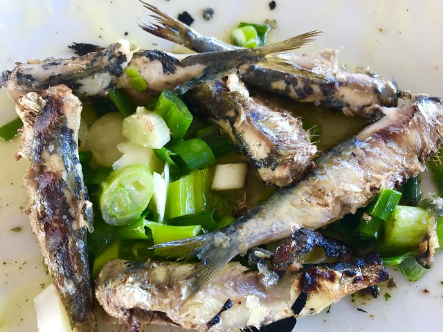 greece 1197 sardines