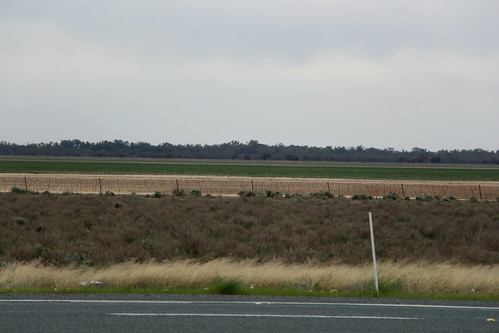 australia new south wales road sturt highway landscape view fields hay balnarald