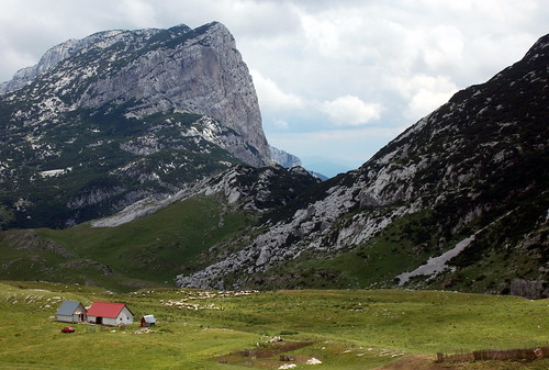 balkan montenegro mountains rock valley durmitor farm sheep