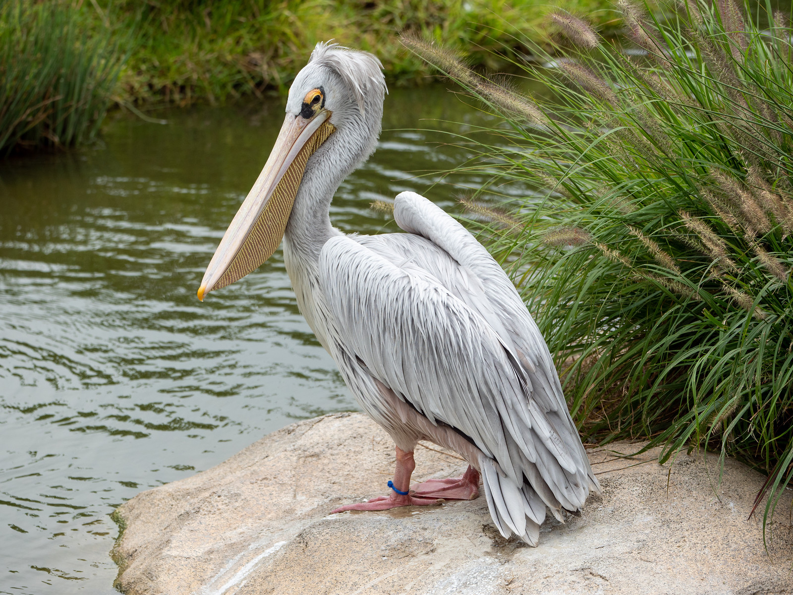 Cincinnati Zoo