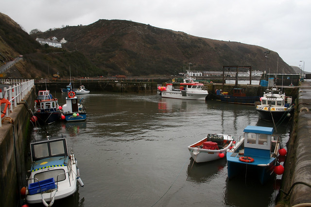 Burnmouth harbour